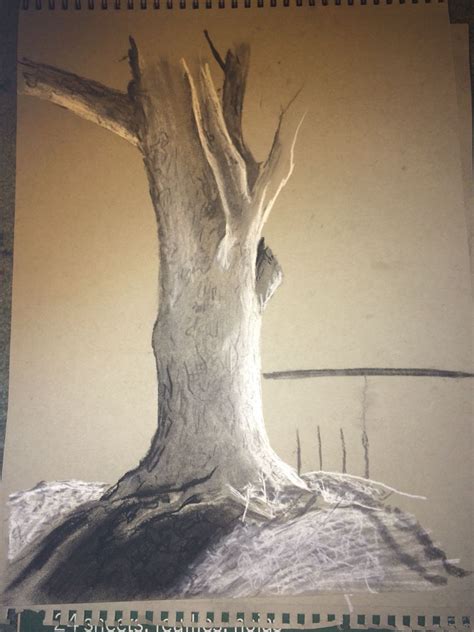 Charcoal tree drawing | Tree drawing, Tree painting, Drawings