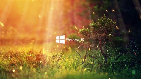 Windows 10 Live Wallpaper 4k Flash Sales | www.aikicai.org