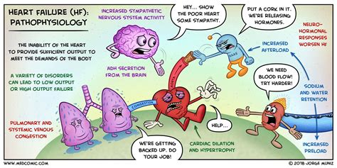 Heart Failure: Pathophysiology via Medcomic.com | Heart failure, Pathophysiology nursing, Heart ...