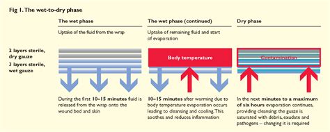 [PDF] Role of the wet-to-dry phase of cleansing in preparing the ...