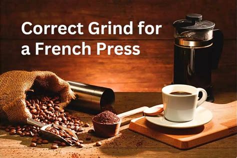 What is the Correct French Press Grind Size?