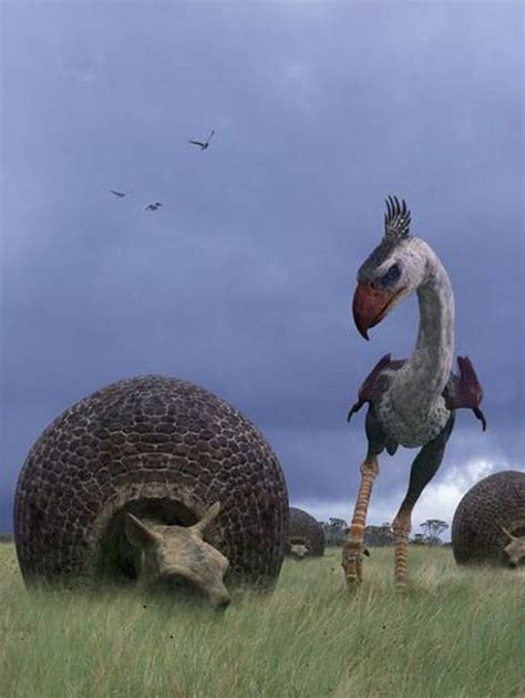 Phorusrhacos – a scary bird | DinoAnimals.com