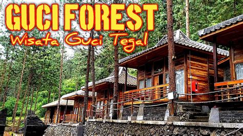 Terbaru 2022 ! Wana Wisata Guci Forest Guci Tegal Jawa Tengah | Camping ...