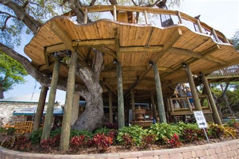 Dine In The Treetops At This Huge Tree House Restaurant In Florida ...