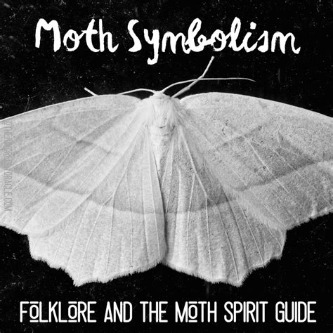 Moth Symbolism, Folklore & The Moth Spirit Guide