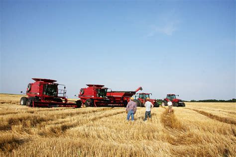 A Farm Wife's Life: Wheat Harvest 2011