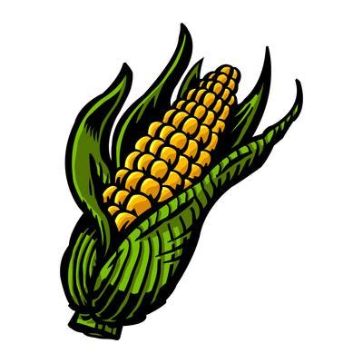 Corn Vector Art, Icons, and Graphics for Free Download