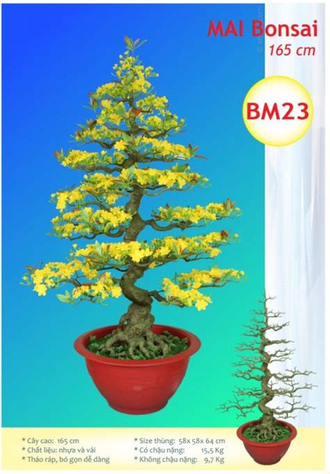 Cây Hoa Mai Bonsai Nhựa Giả Cao 1m65,Cây Hoa Mai Trang Trí Tết | Lazada.vn