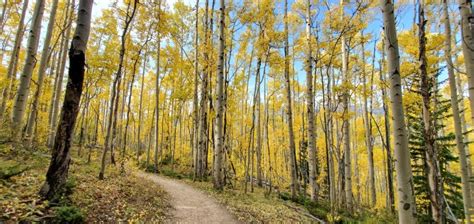 Best Hiking in Breckenridge – The Ultimate Guide