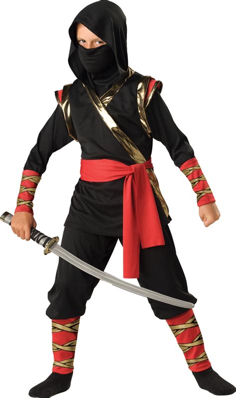 Boys Warrior Ninja Kids Costume - Mr. Costumes