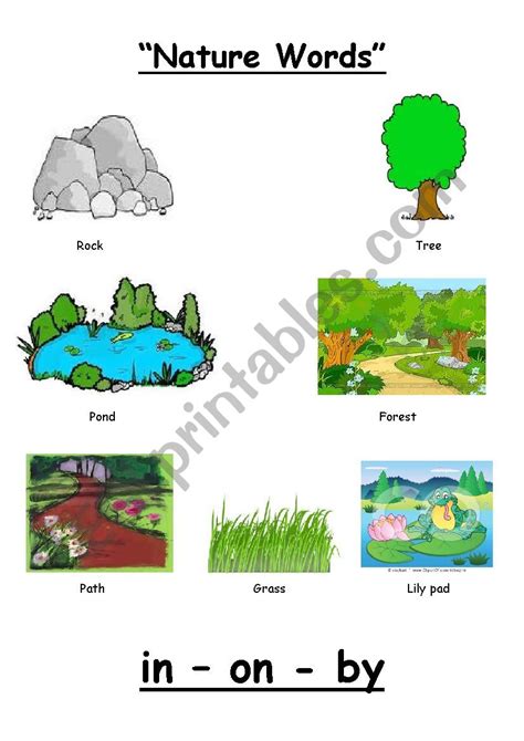 nature words pictionary - ESL worksheet by acelya_amer