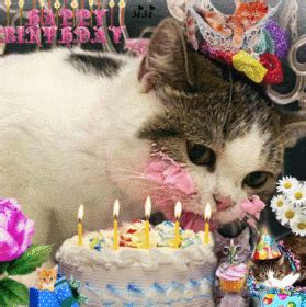 Happy Birthday Cat Eating Cake