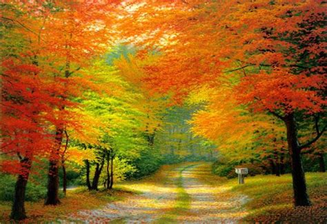 Tổng hợp 48 ảnh về mùa thu phong cảnh đẹp - iedunet.edu.vn