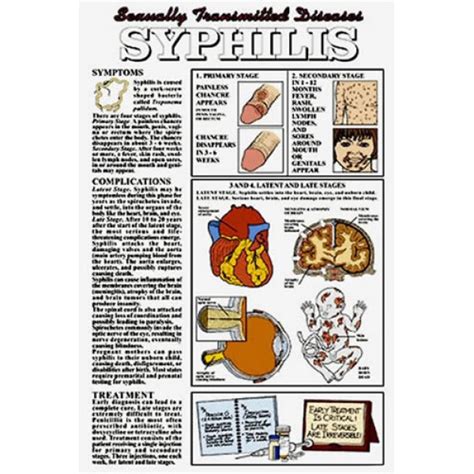 Cdc Syphilis Titer Chart