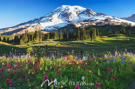 Mount Rainier And Wildflowers Wallpaper Mural by Magic Murals