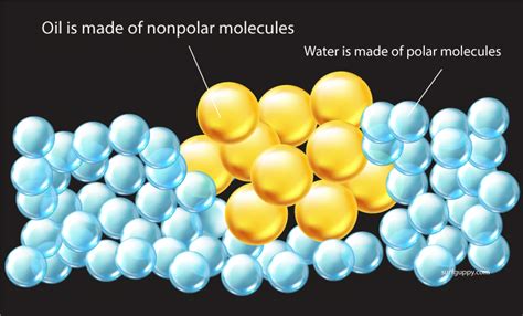 What is Hydrophobic