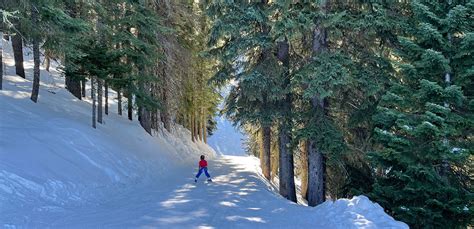 Ski Bluewood, Snow Sports in the Blue Mountains - Outside Walla Walla