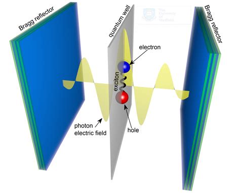 What on earth is a polariton? - Mapping Ignorance