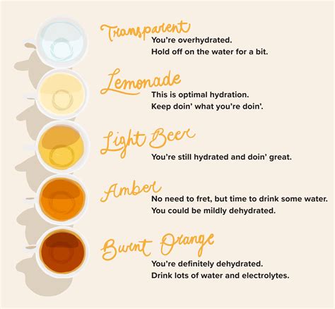 dehydration can be detected using pee color you just need to see the - heres exactly what the ...