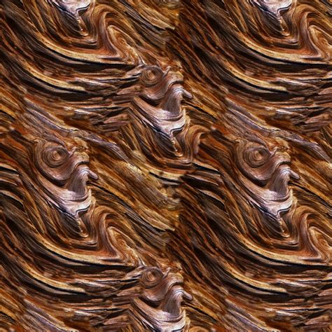 BristleCone Pine Bark 22 Pattern