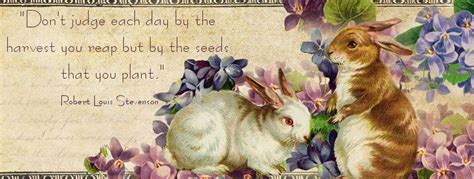 Lilac & Lavender: Violets | Fb covers, Facebook cover photos, Vintage ...