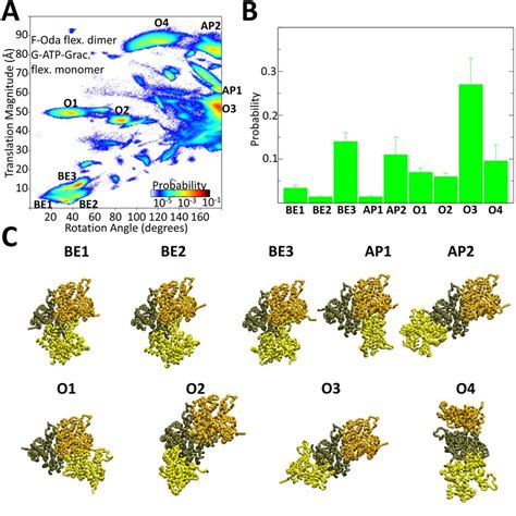 Interaction between G-actin monomer (G-ATP-Grac. flex) with a dimer in... | Download Scientific ...