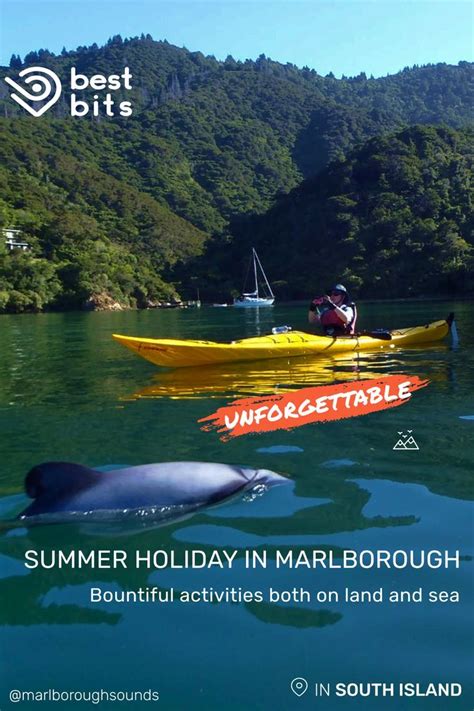 Top 10 things to do in Marlborough | Marlborough, Natural scenery ...