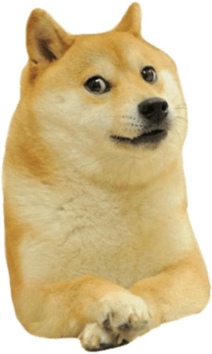 doge Blank Template - Imgflip