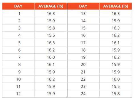 Bowling Ball Sizes And Weights | Blog Dandk