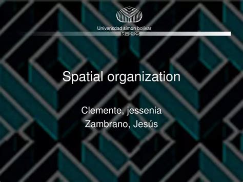 PPT - Spatial organization PowerPoint Presentation, free download - ID:4058796