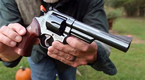 A Look at the S&W Model 29 44 Magnum - AllOutdoor.com