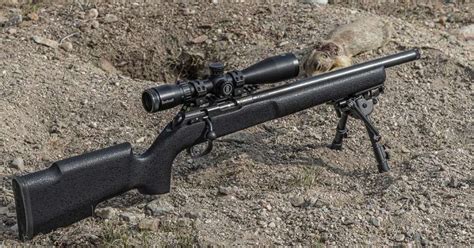 Field Test: CZ 457 Pro Varmint Suppressor-Ready Rimfire | Shoot On