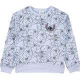Disney Girls 100 Anniversary Graphic Hoodie Sweatshirt, Sizes 4-16 ...