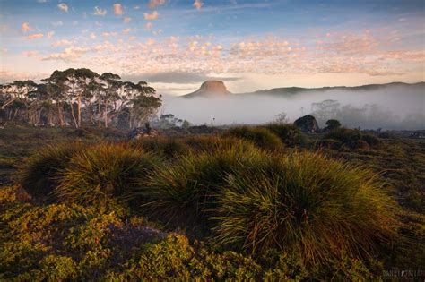 overland-track-australia - Wired For Adventure