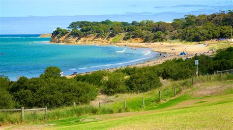 Trips to Torquay, Australia | Find travel information | Expedia.co.in