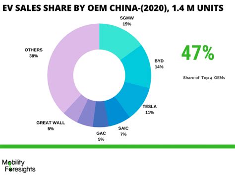 China Electric Vehicle Market 2020-2025 | May 2021 Updated