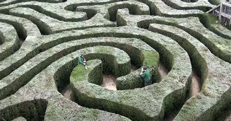 You Can Visit The World's Longest Hedge Maze In Longleat, England