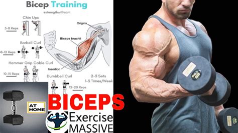 30 Minute Best Bicep Workout With Only Dumbbells for Push Pull Legs | Fitness and Workout ABS ...