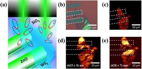 Heterostructure allows excitons to carry more information for quantum ...