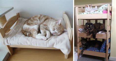 Japanese Cat Owners Re-Purposed IKEA’s Doll Beds For Cats