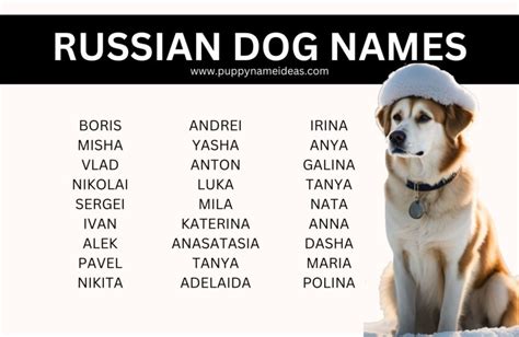 130+ Russian Dog Names - Puppy Name Ideas