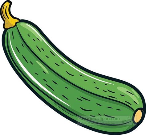 Vegetable Clipart-zucchini squash clip art