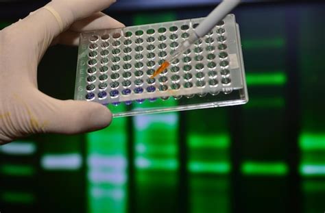 Premium Photo | Dna testing in genetic laboratories