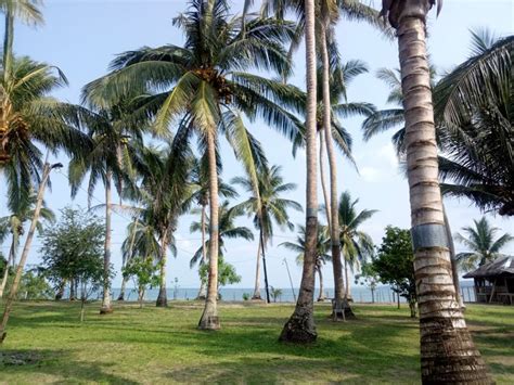 Beachfront House and Lot for Sale in Tagkawayan,Quezon