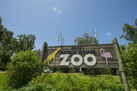 As key vote for Baton Rouge Zoo looms, the question remains: will voters, donors support $150 ...