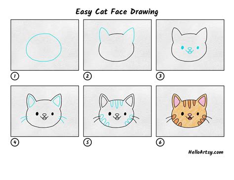 Easy Cat Face Drawing - HelloArtsy