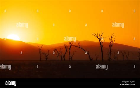 Brilliant sunset over the Namibian sand dunes Stock Photo - Alamy