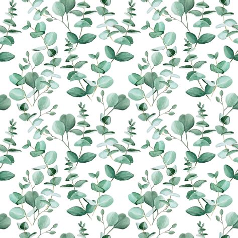 Seamless pattern with watercolor eucalyptus leaves on a white ...