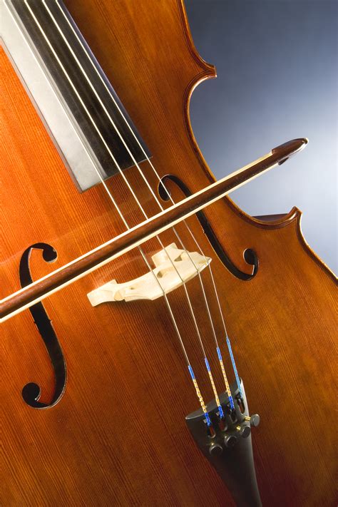 File:Cello study.jpg - Wikipedia