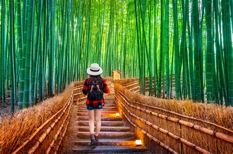 Arashiyama Bamboo Forest Kyoto - Tea Ceremony Japan Experiences MAIKOYA